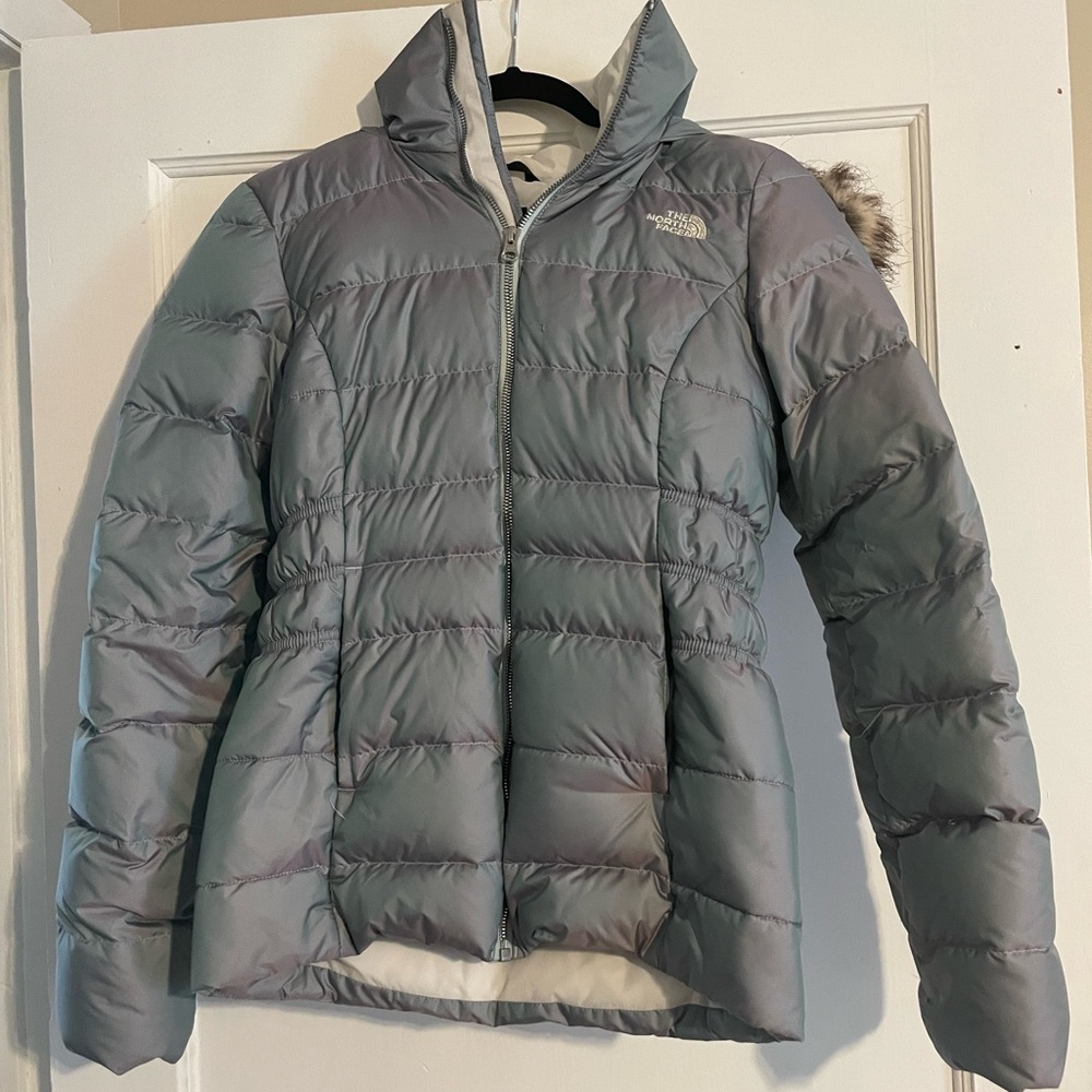 Iridescent NorthFace Coat